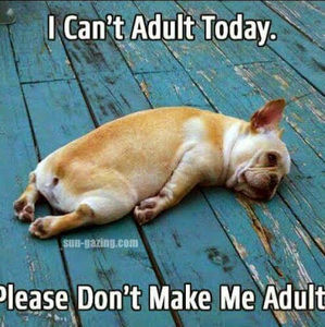 Meet your Posher, Kathy